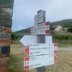Bed & Breakfast Bouganville