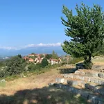 Bouganville 3*