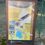 Bouganville