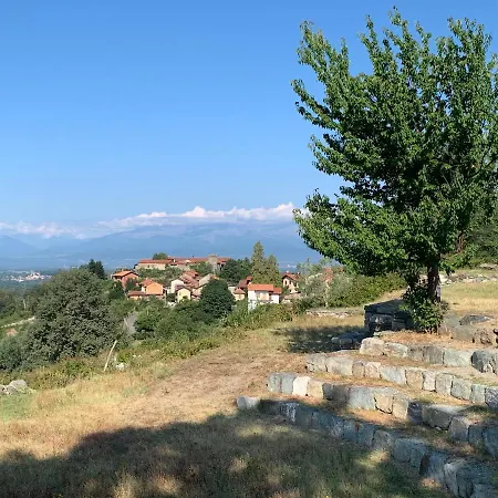 Bouganville 3*