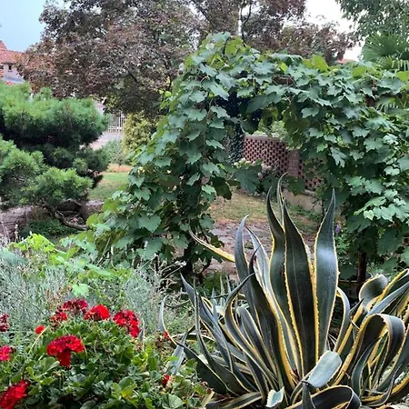 Bed & Breakfast Bouganville Viverone