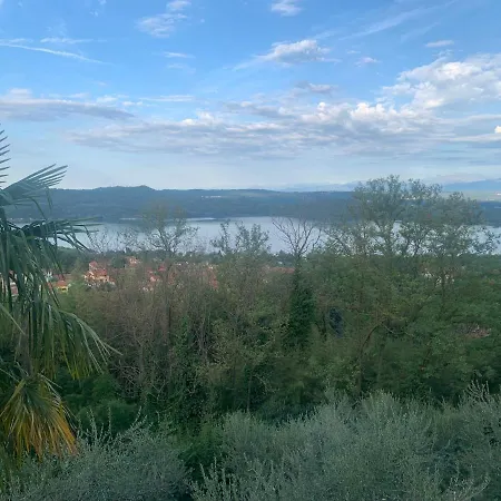 Bouganville Viverone