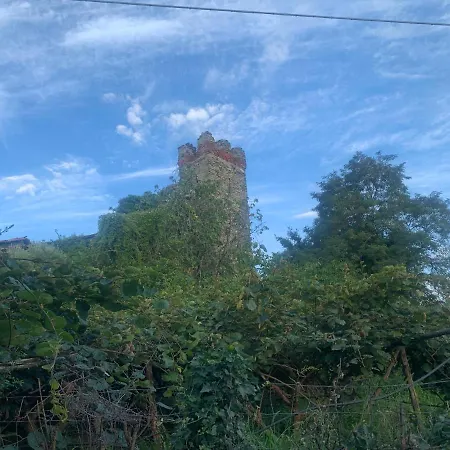 Bed & Breakfast Bouganville *