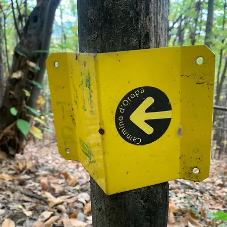 Bed & Breakfast Bouganville 3*