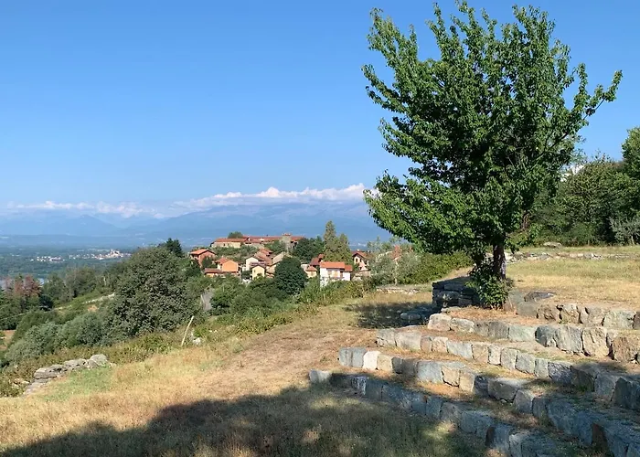 Bouganville 3*