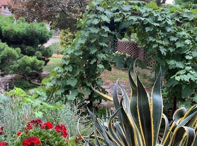 Bed and Breakfast Bouganville Viverone