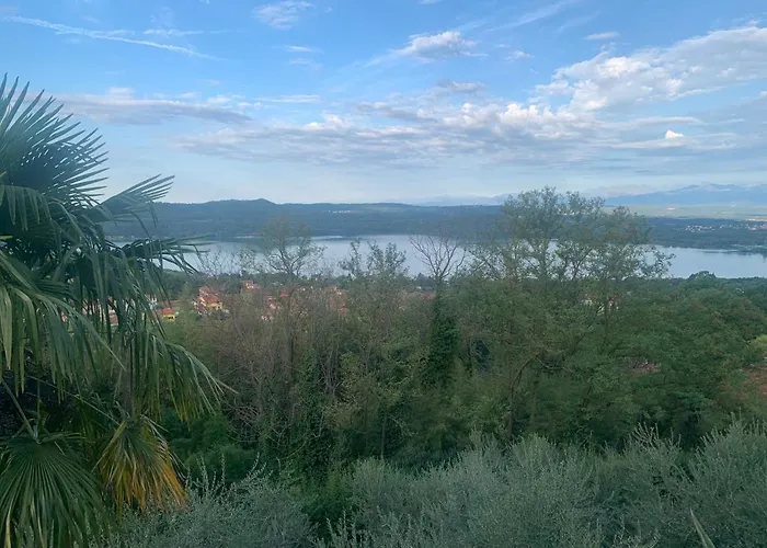 Bouganville Viverone
