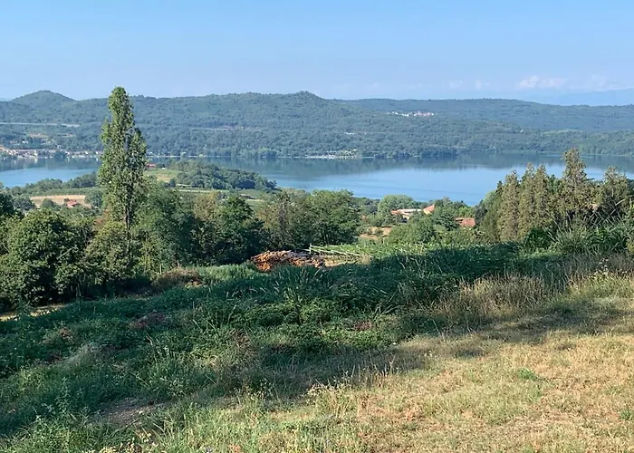 Bouganville