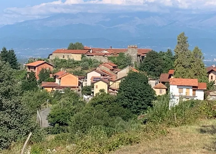 B&B Bouganville 3*