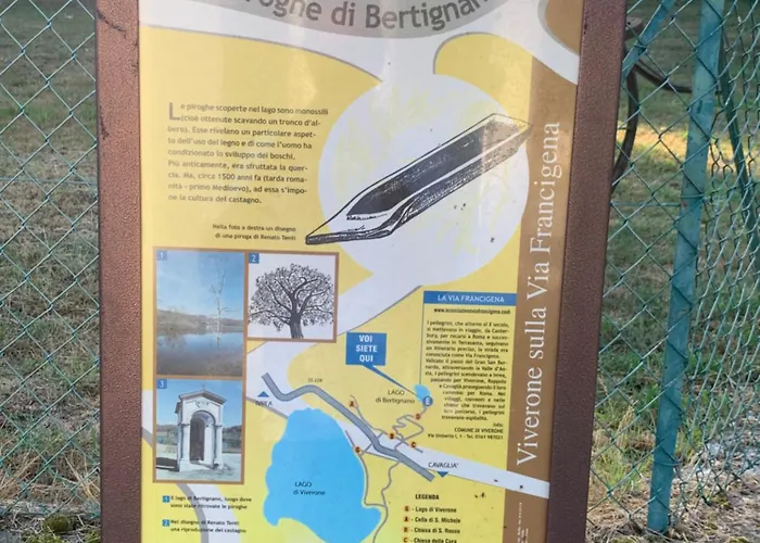 Bouganville